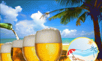 Sol, Mar e Muita Cerveja Gelada! 05 Cervejas 600ml de R$ 23,40 por espetaculares R$ 9,90.